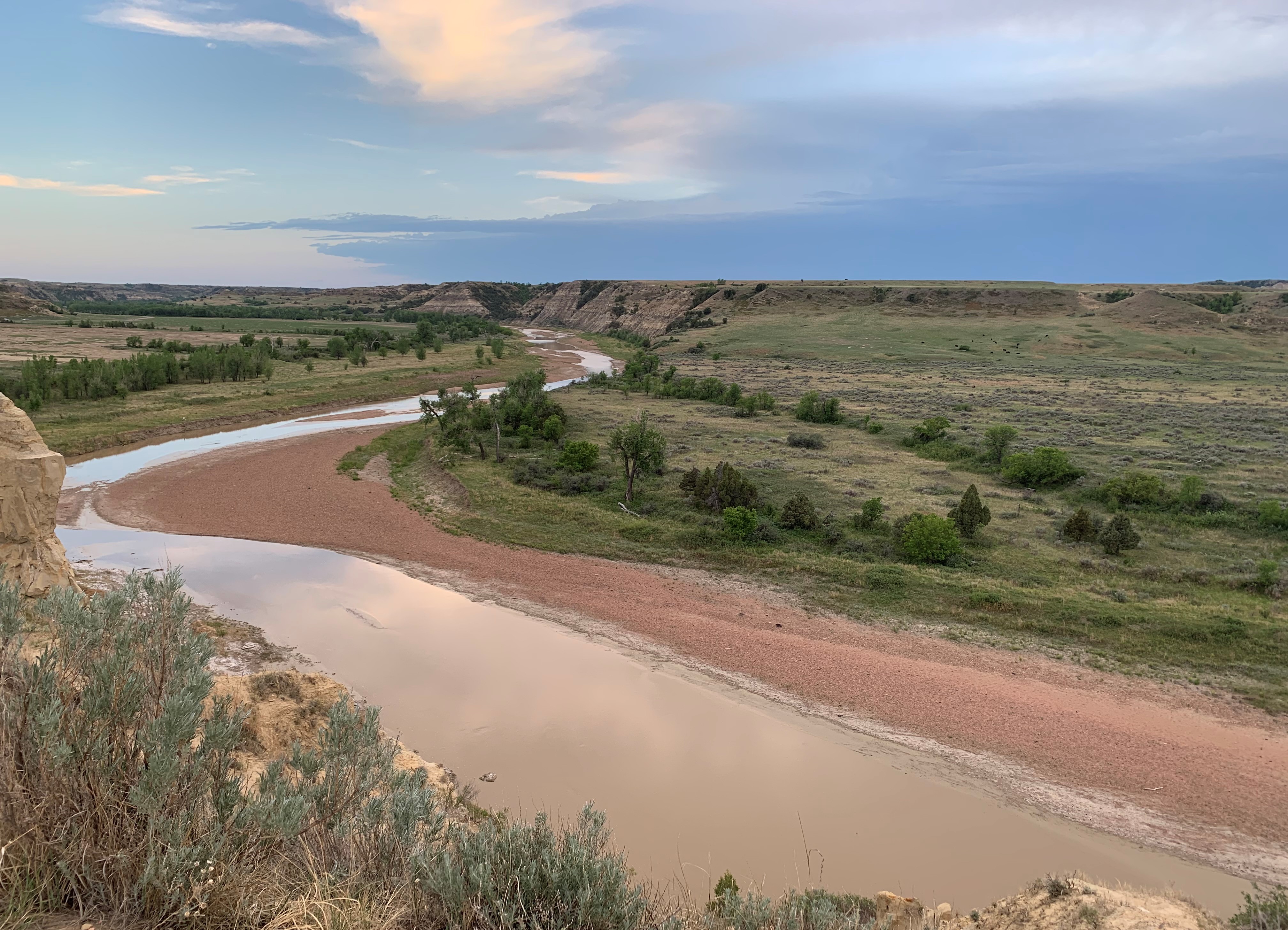 Theodore Roosevelt NP